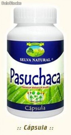 PASUCHACA (DIABETES)